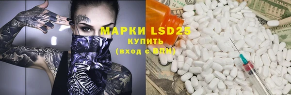 прущие грибы Верея