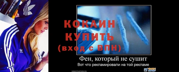 прущие грибы Верея