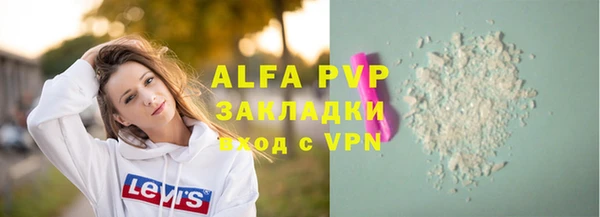 прущие грибы Верея