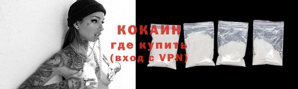 прущие грибы Верея