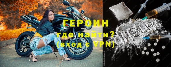 прущие грибы Верея