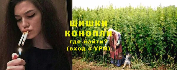 прущие грибы Верея