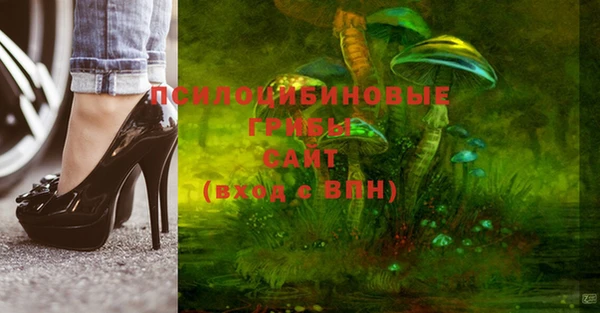 прущие грибы Верея