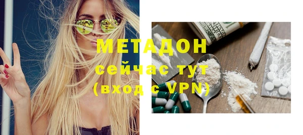 прущие грибы Верея